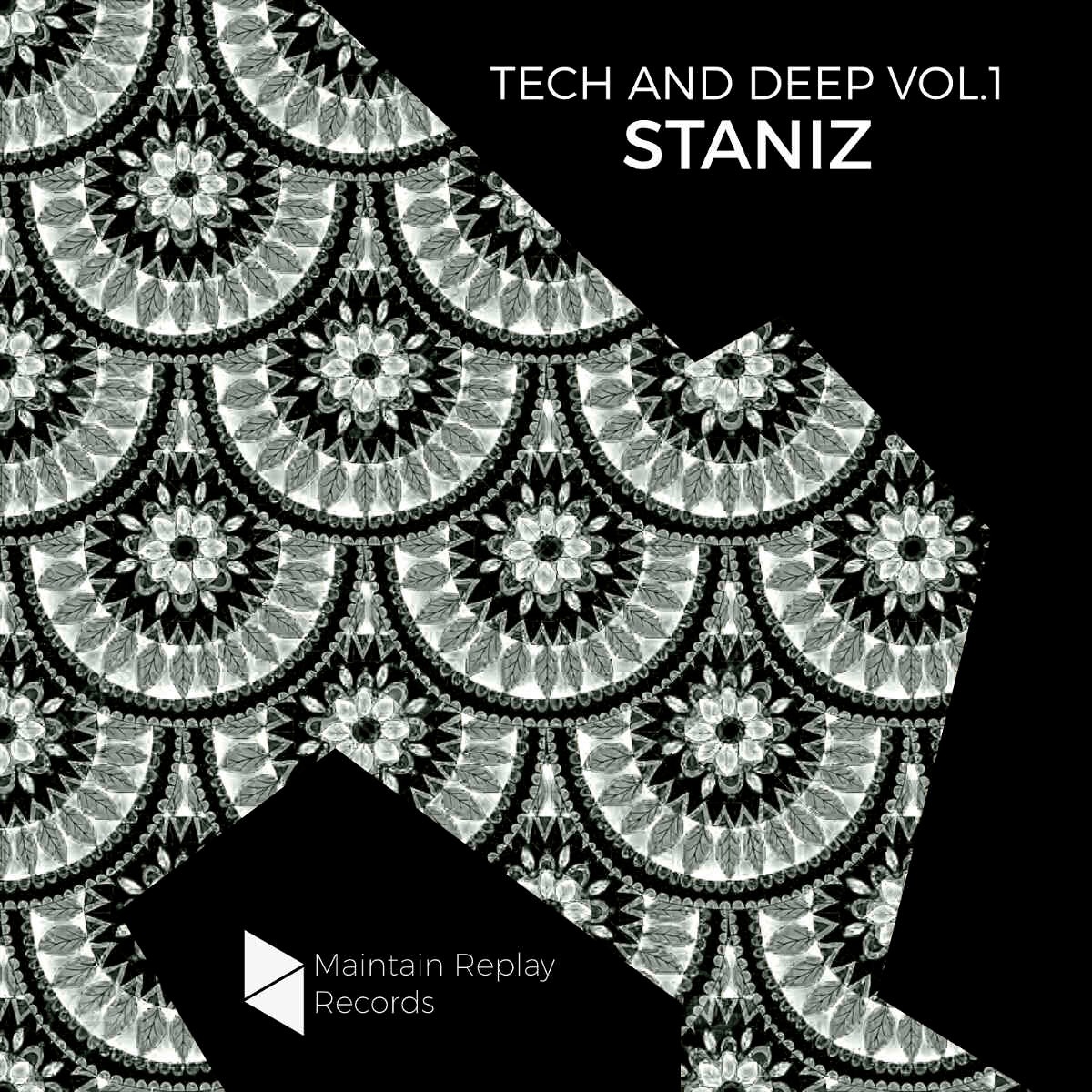 Maintain Replay Records - Tech and Deep Vol. 1 by Staniz Sample Packs Software GUI Artwork